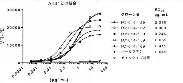 6341963-ＨＥＲ２に対するモノクローナル抗体 図000055