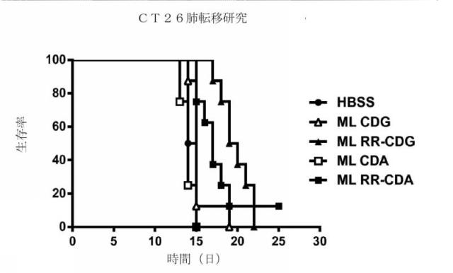 6453855-「インターフェロン遺伝子の刺激因子」依存性シグナル伝達を活性化するための組成物及び方法 図000055