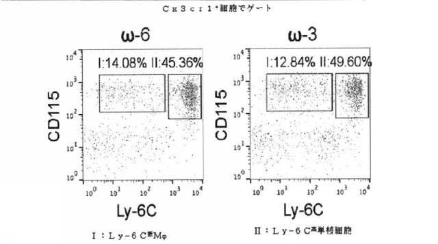 6526570-炎症及び血管形成を減少させるＣＹＰ４５０脂質メタボライト 図000055