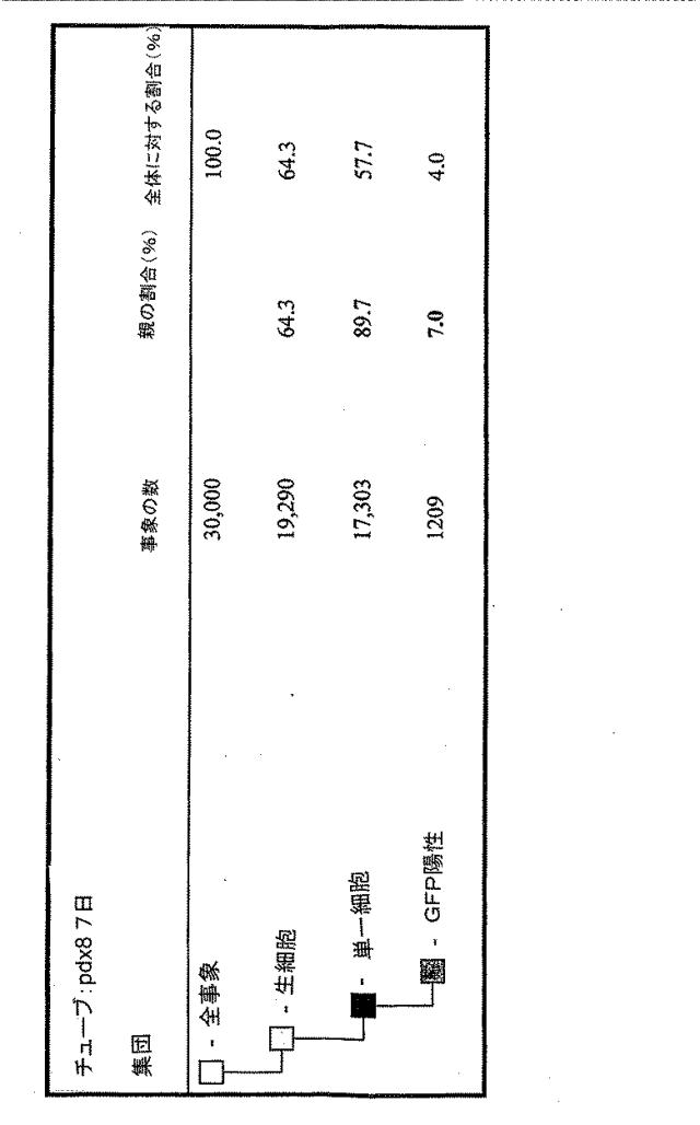 6595041-ＰＤＸ１発現背側及び腹側前腸内胚葉 図000055