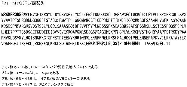 6647334-成体幹細胞のインビトロでの増殖 図000055