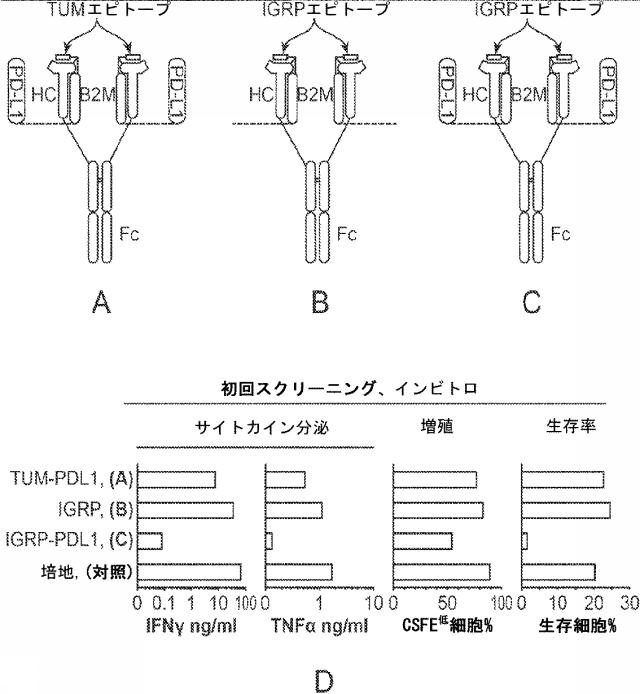 6652680-ｓｙｎＴａｃポリペプチド及びその使用 図000055