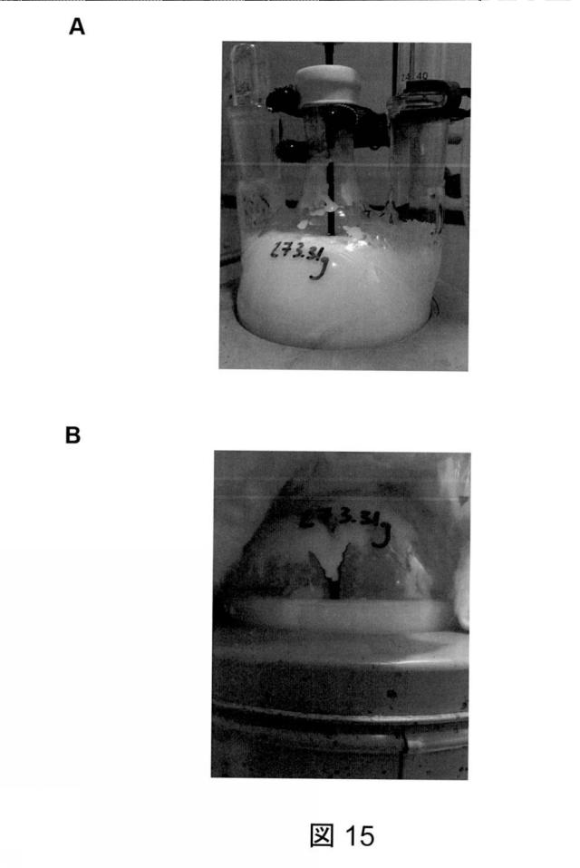 6825082-硫酸リチウムおよび硫酸を含む水性組成物を処理する方法 図000055