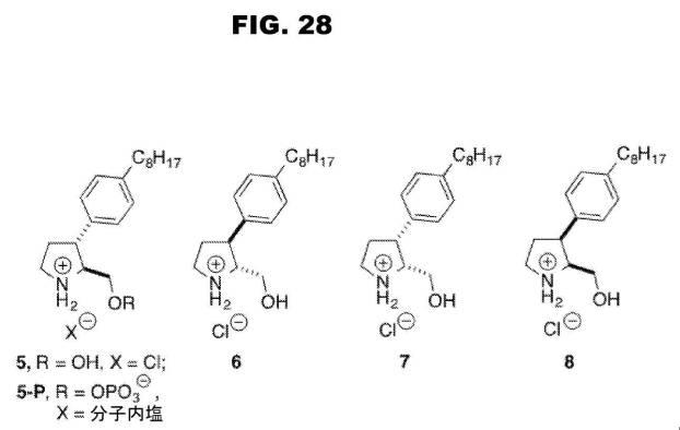 6853539-合成スフィンゴ脂質様分子、薬物、これらの合成方法、および処置方法 図000055