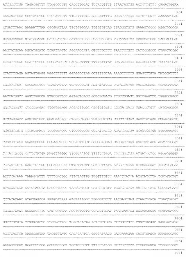 6259766-フラタキシンレベルを増加させる方法および生成物ならびにその使用 図000056