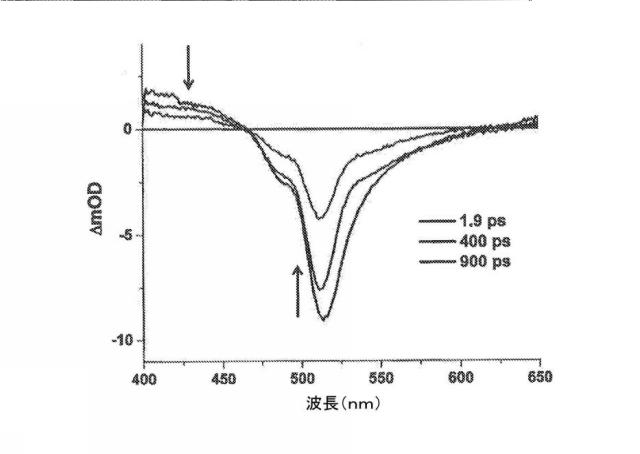 6339561-光起電力のためのジピリン系材料、極性媒体中で対称性破壊性分子内電荷移動が可能な化合物およびこれを含む有機光起電力デバイス 図000056