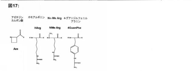 6588890-構築されたポリペプチド特異性のモジュレーション 図000056