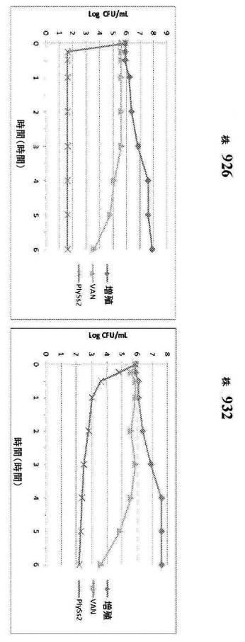 6735796-グラム陽性細菌を検出および処置するためのＳｔｒｅｐｔｏｃｏｃｃｕｓバクテリオファージリシン 図000056