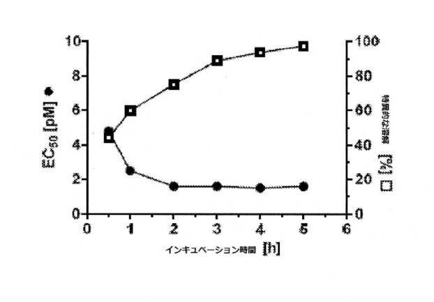 6760849-二重特異性ＣＤ３３およびＣＤ３結合タンパク質 図000056