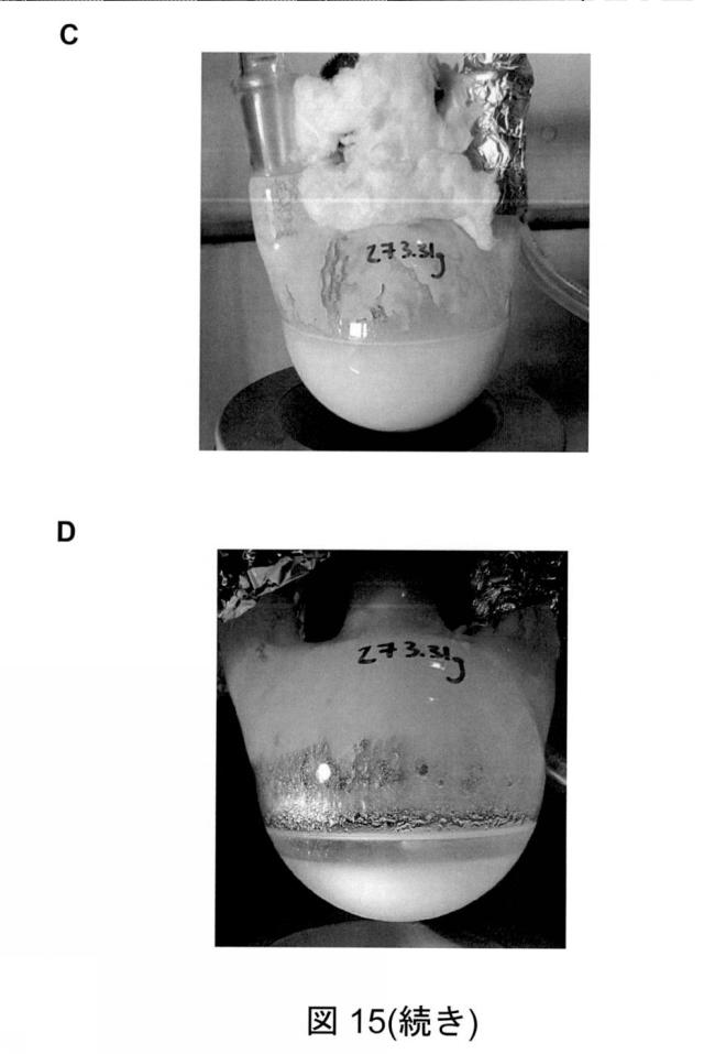 6825082-硫酸リチウムおよび硫酸を含む水性組成物を処理する方法 図000056