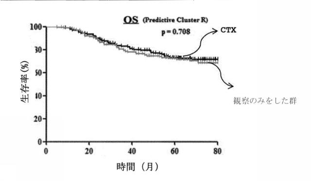 6864089-進行性胃癌患者の手術後の予後または抗癌剤適合性予測システム 図000056