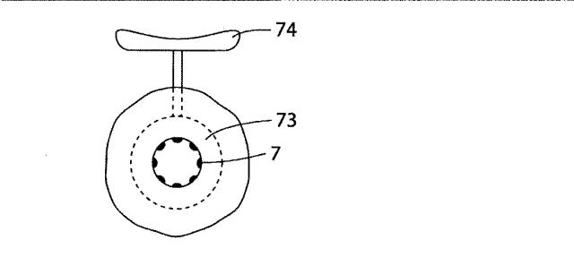 5830513-卵管内の精子の流れを制御する装置 図000057