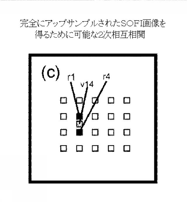 5856252-超解像光ゆらぎイメージング（ＳＯＦＩ） 図000057