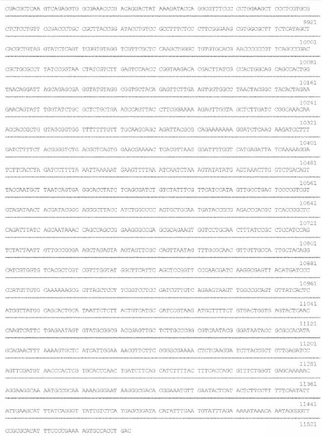 6259766-フラタキシンレベルを増加させる方法および生成物ならびにその使用 図000057