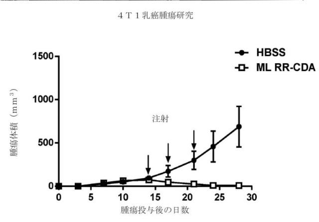 6453855-「インターフェロン遺伝子の刺激因子」依存性シグナル伝達を活性化するための組成物及び方法 図000057