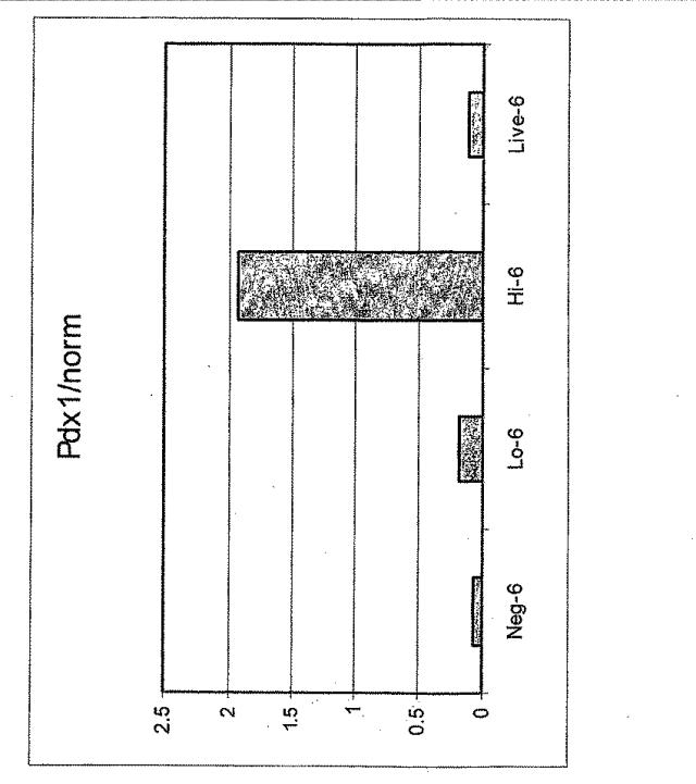 6595041-ＰＤＸ１発現背側及び腹側前腸内胚葉 図000057