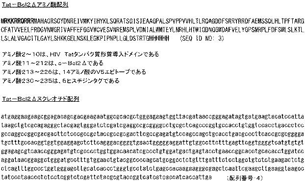 6647334-成体幹細胞のインビトロでの増殖 図000057