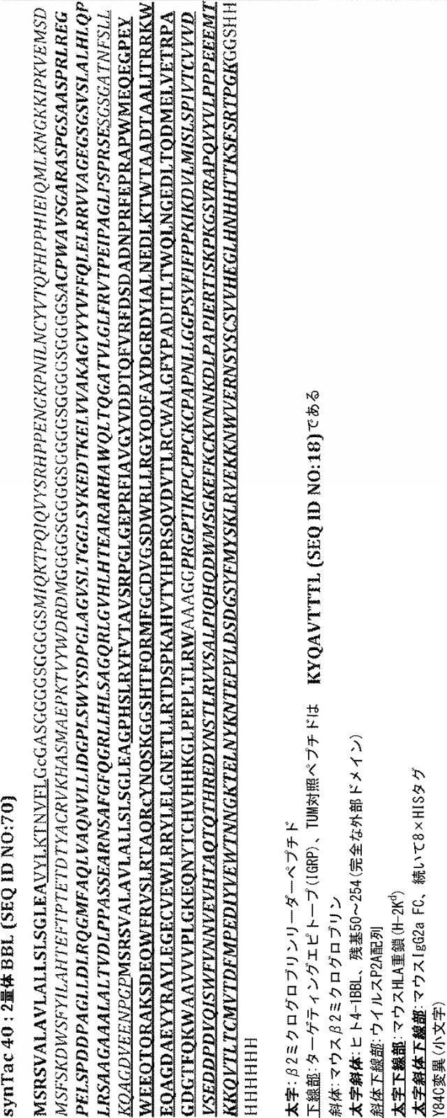 6652680-ｓｙｎＴａｃポリペプチド及びその使用 図000057