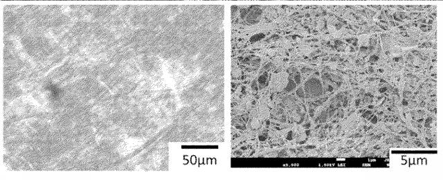 6775160-疎水化セルロース系繊維用の解繊助剤、それを使用する樹脂組成物の製造方法並びに成形体 図000057