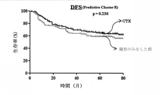 6864089-進行性胃癌患者の手術後の予後または抗癌剤適合性予測システム 図000057