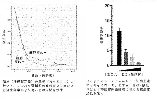 6931002-ベンゾチアゾール両親媒性物質 図000057