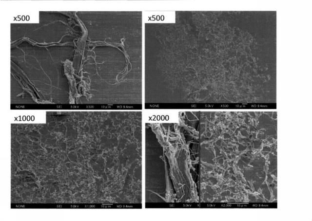 6091589-化学修飾セルロースナノファイバー及び熱可塑性樹脂を含有する繊維強化樹脂組成物 図000058