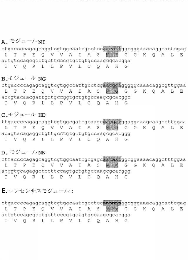 6259766-フラタキシンレベルを増加させる方法および生成物ならびにその使用 図000058