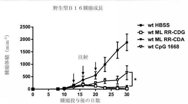 6453855-「インターフェロン遺伝子の刺激因子」依存性シグナル伝達を活性化するための組成物及び方法 図000058