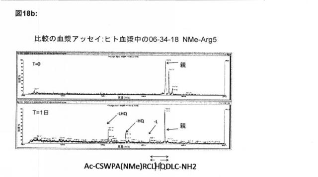 6588890-構築されたポリペプチド特異性のモジュレーション 図000058