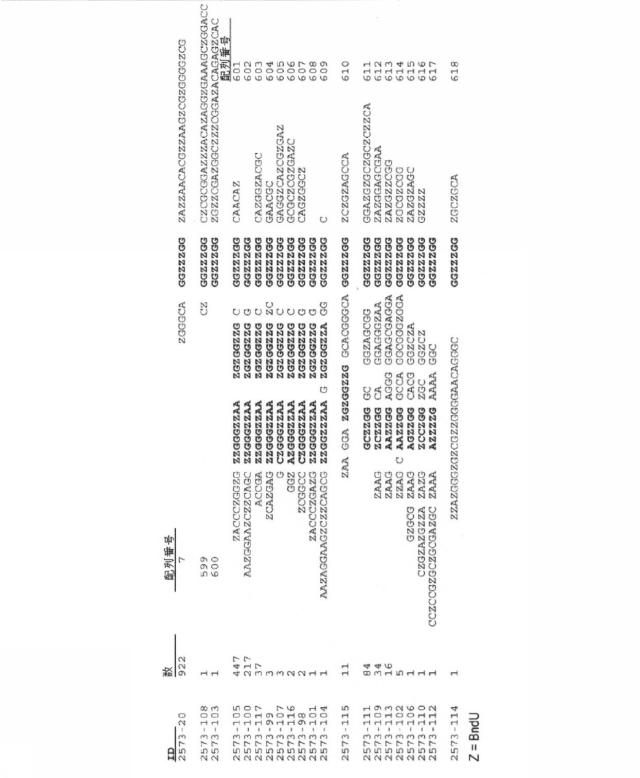 6591392-ＩＬ−６に結合するアプタマー及びＩＬ−６介在性状態の治療または診断におけるそれらの使用 図000058