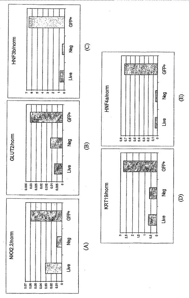 6595041-ＰＤＸ１発現背側及び腹側前腸内胚葉 図000058