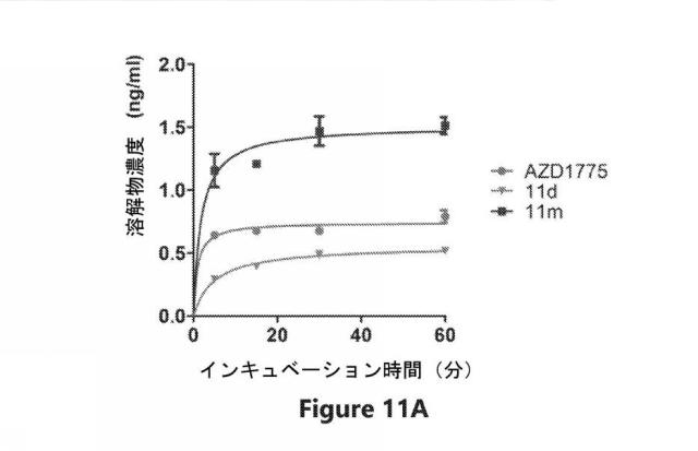 6692423-Ｗｅｅ１キナーゼ阻害剤、並びにそれを作製及び使用する方法 図000058