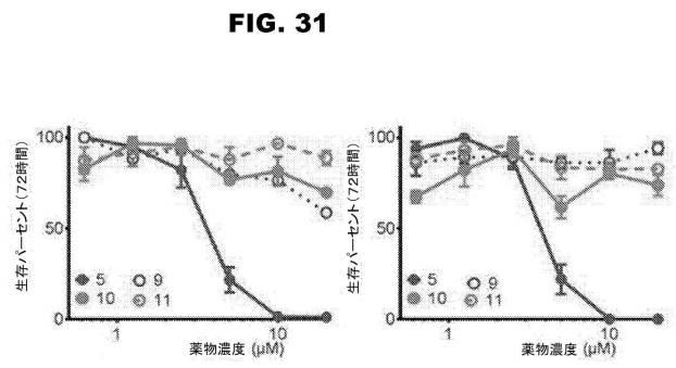 6853539-合成スフィンゴ脂質様分子、薬物、これらの合成方法、および処置方法 図000058