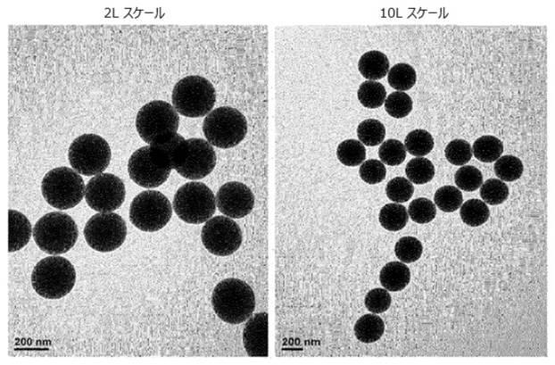 6967810-肝癌の予防または治療用の薬学的組成物 図000058