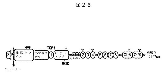 5819303-安定化された液体および凍結乾燥ＡＤＡＭＴＳ１３製剤 図000059