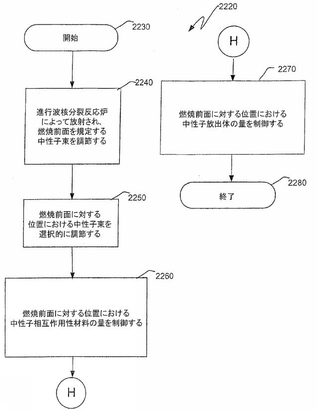 6125840-進行波核分裂反応炉、核燃料アッセンブリ、およびこれらにおける燃焼度の制御方法 図000059