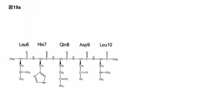 6588890-構築されたポリペプチド特異性のモジュレーション 図000059