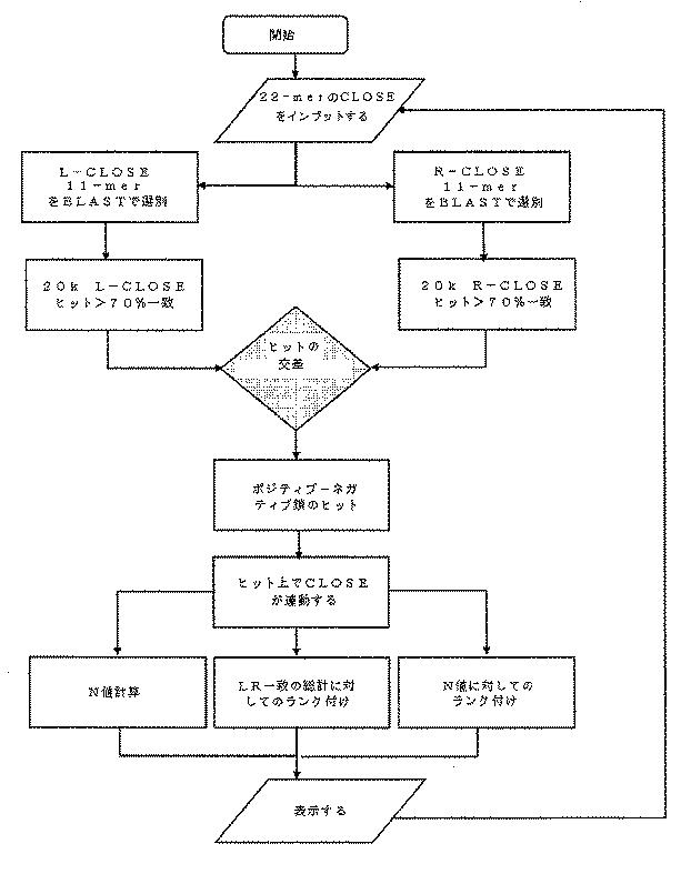 6910295-診断治療融合的な応用のための方法及びキット 図000059