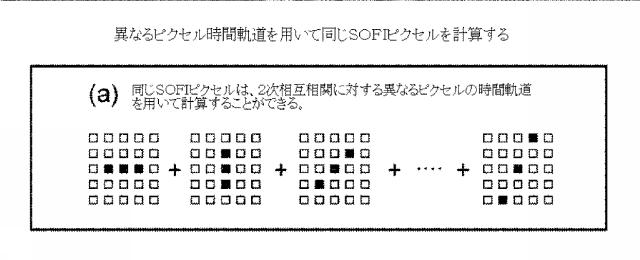 5856252-超解像光ゆらぎイメージング（ＳＯＦＩ） 図000060