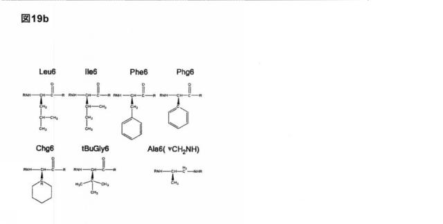 6588890-構築されたポリペプチド特異性のモジュレーション 図000060
