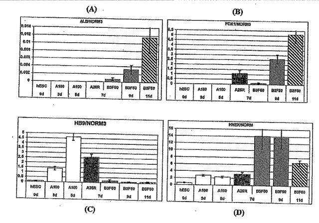 6595041-ＰＤＸ１発現背側及び腹側前腸内胚葉 図000060