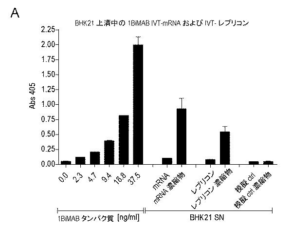 6799101-クローディンを発現するガン疾患を処置するための剤 図000060