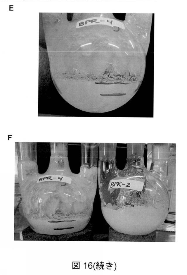6825082-硫酸リチウムおよび硫酸を含む水性組成物を処理する方法 図000060