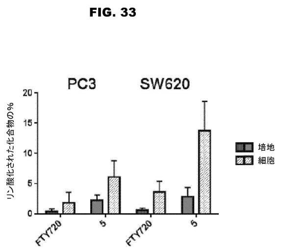 6853539-合成スフィンゴ脂質様分子、薬物、これらの合成方法、および処置方法 図000060