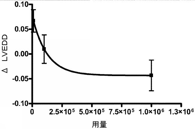 5894071-心臓組織由来細胞 図000061