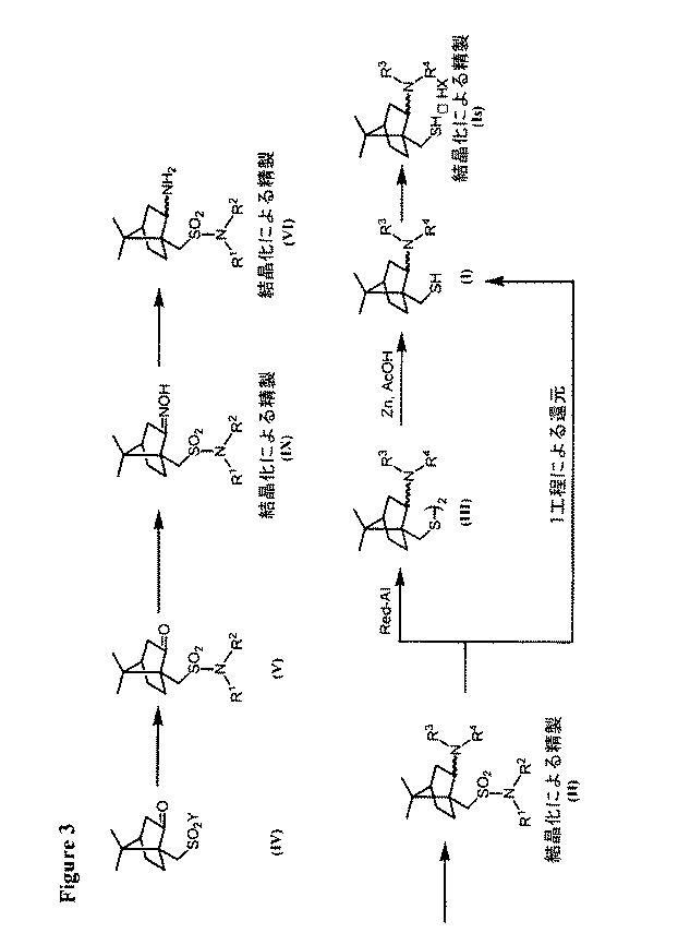 5918386-キラル触媒およびそれらの塩の製造方法 図000061