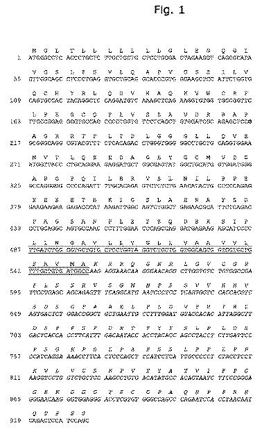 6309273-活性化血小板上のＴＬＴ−１に対する凝固因子の標的化 図000061