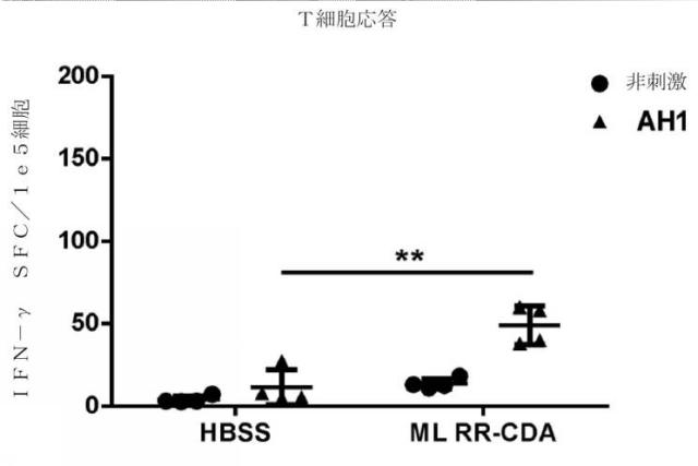 6453855-「インターフェロン遺伝子の刺激因子」依存性シグナル伝達を活性化するための組成物及び方法 図000061