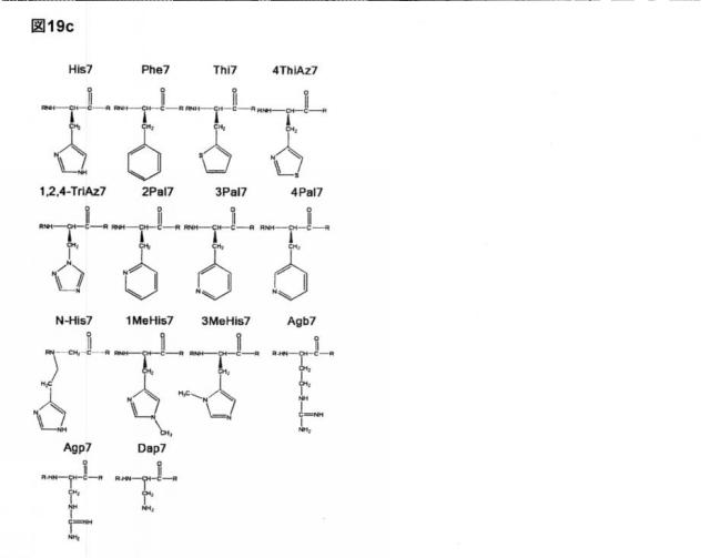 6588890-構築されたポリペプチド特異性のモジュレーション 図000061