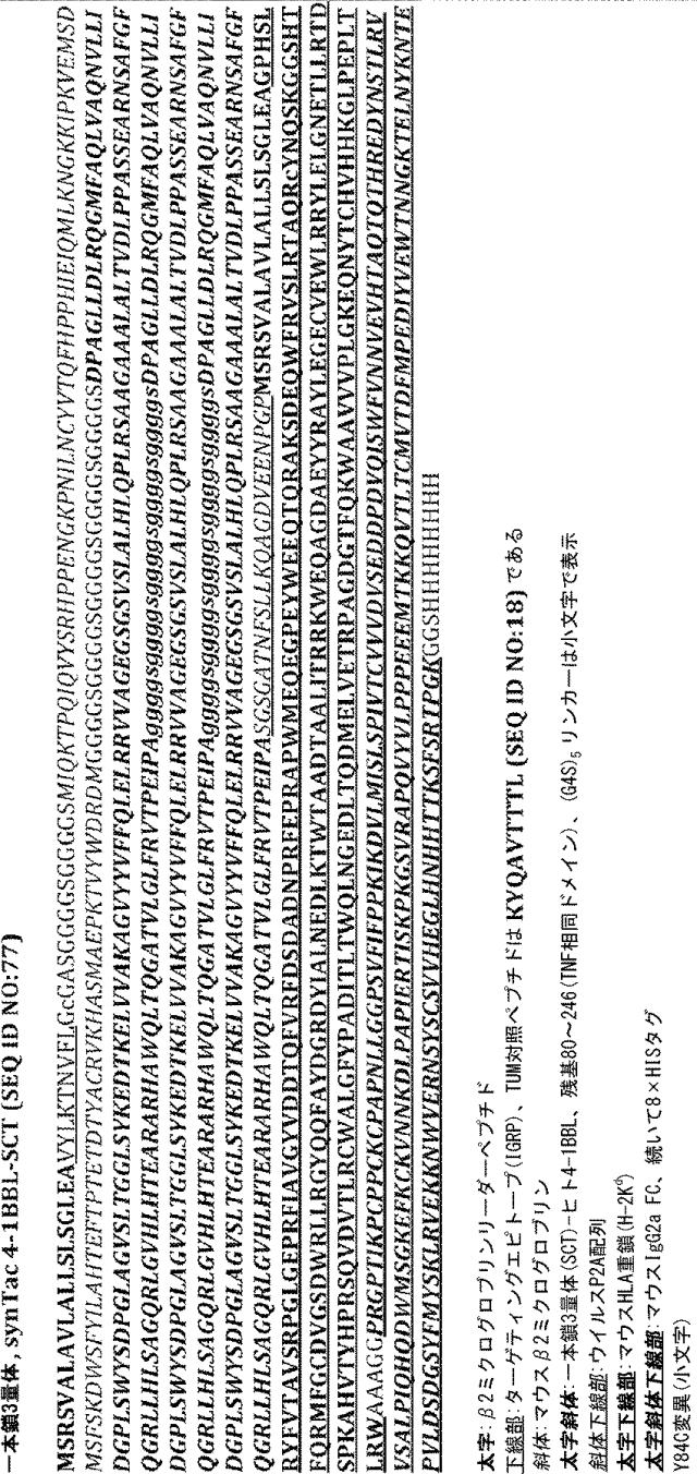 6652680-ｓｙｎＴａｃポリペプチド及びその使用 図000061